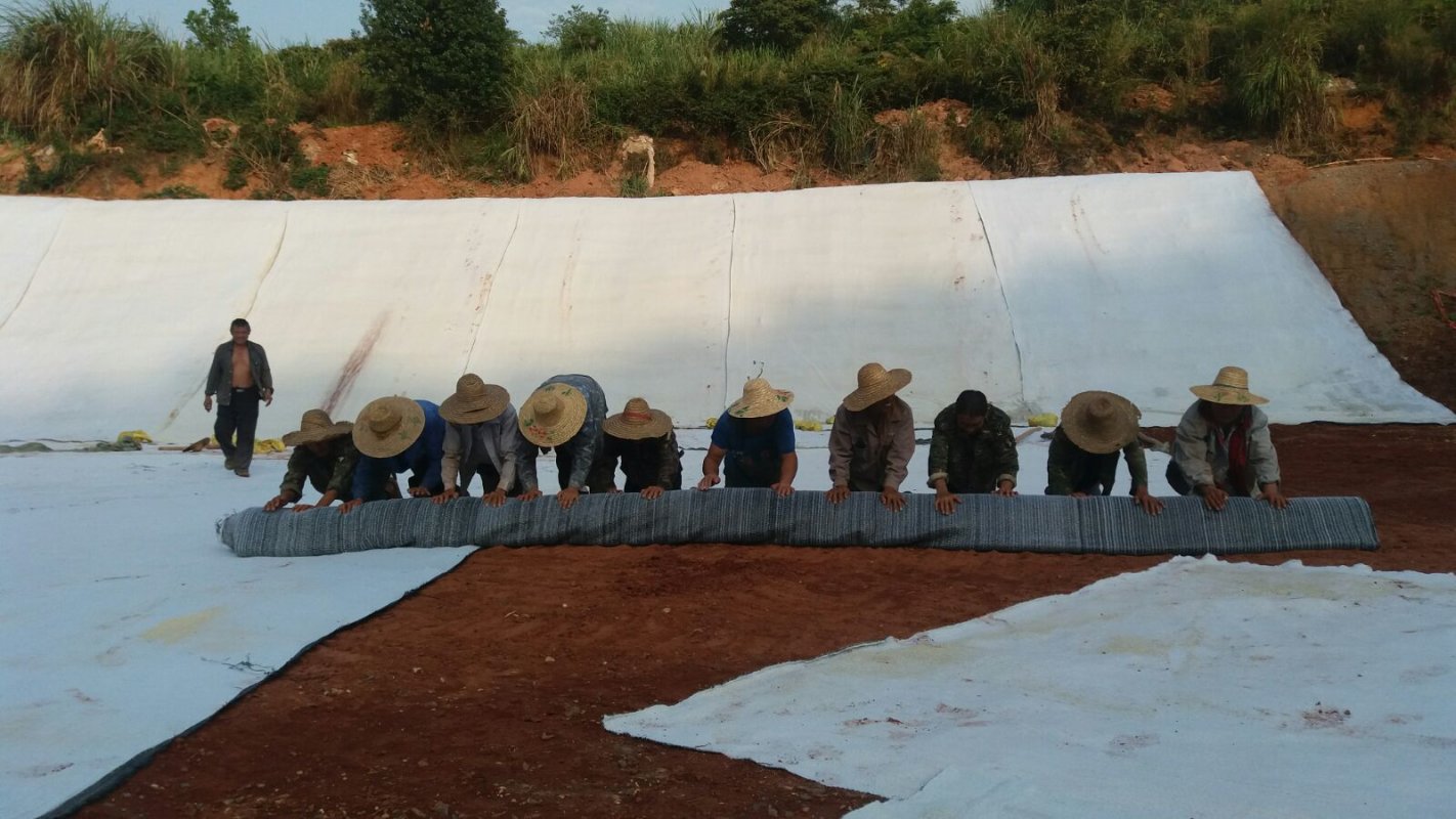 崇左土工膜施工案例  第7張 崇左土工膜施工案例  第7張